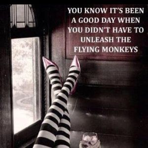 Meet your Posher, Karla